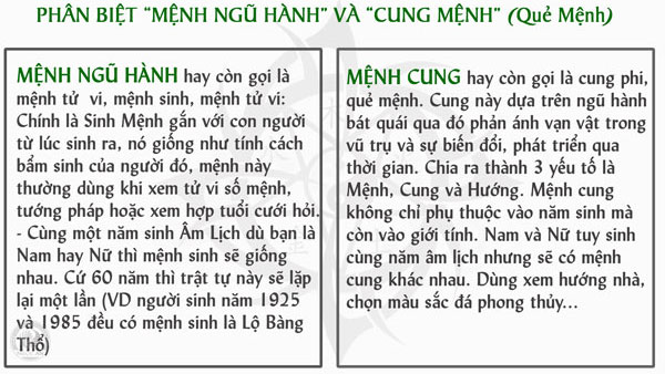 cách phân biết giữa mệnh tử vi và mệnh cung phi